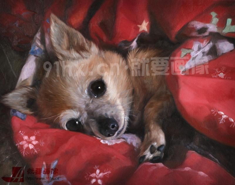 狗油畫-狗畫像-狗狗的油畫